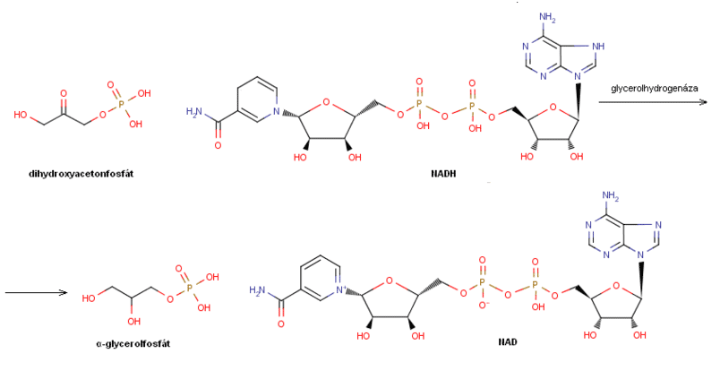 glycerol-03-vyroba-glycerolu-transesterifikaciou
